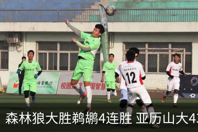森林狼大胜鹈鹕4连胜 亚历山大43分雷霆克骑士